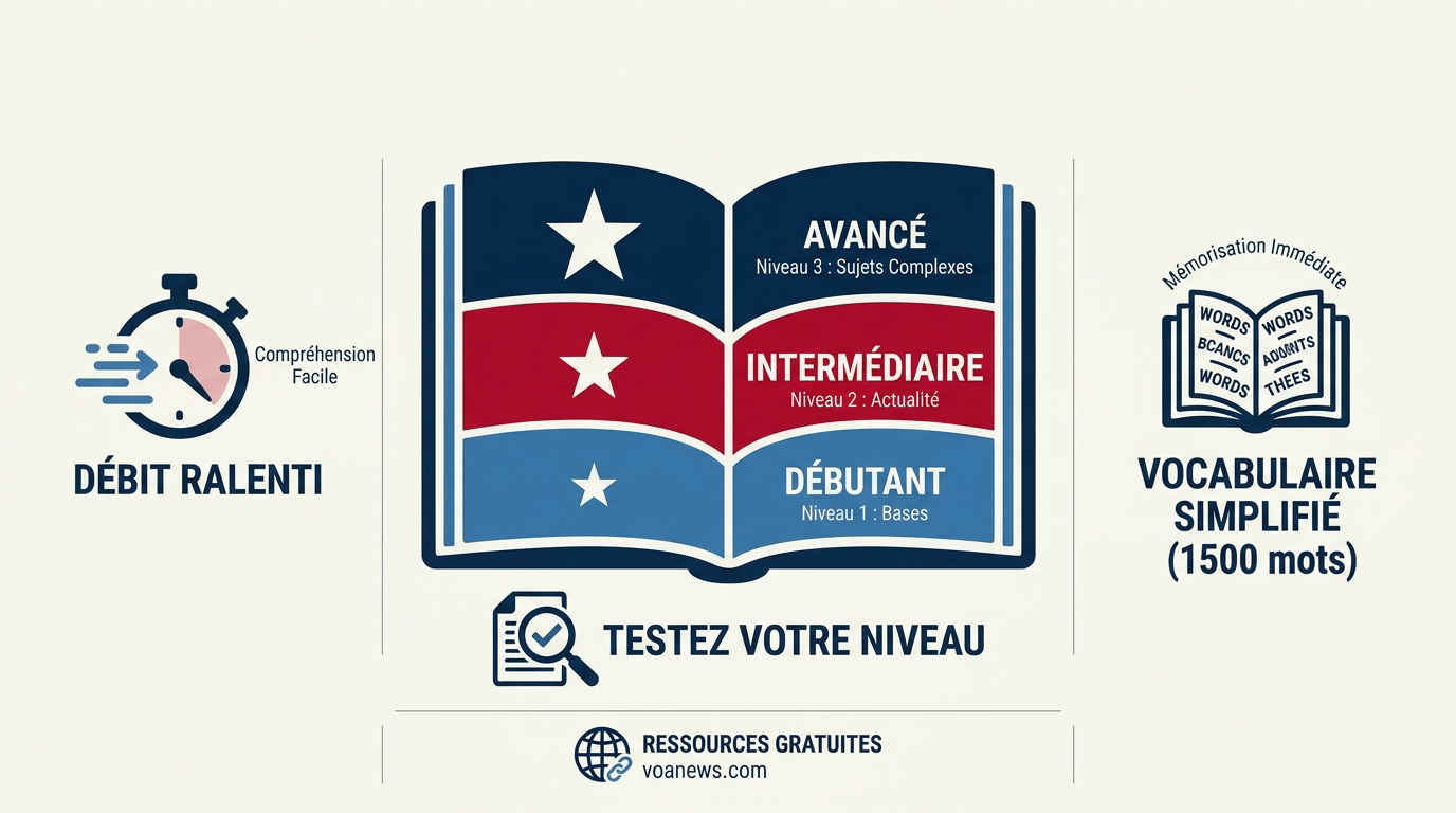 Graphique des niveaux de langue VOA