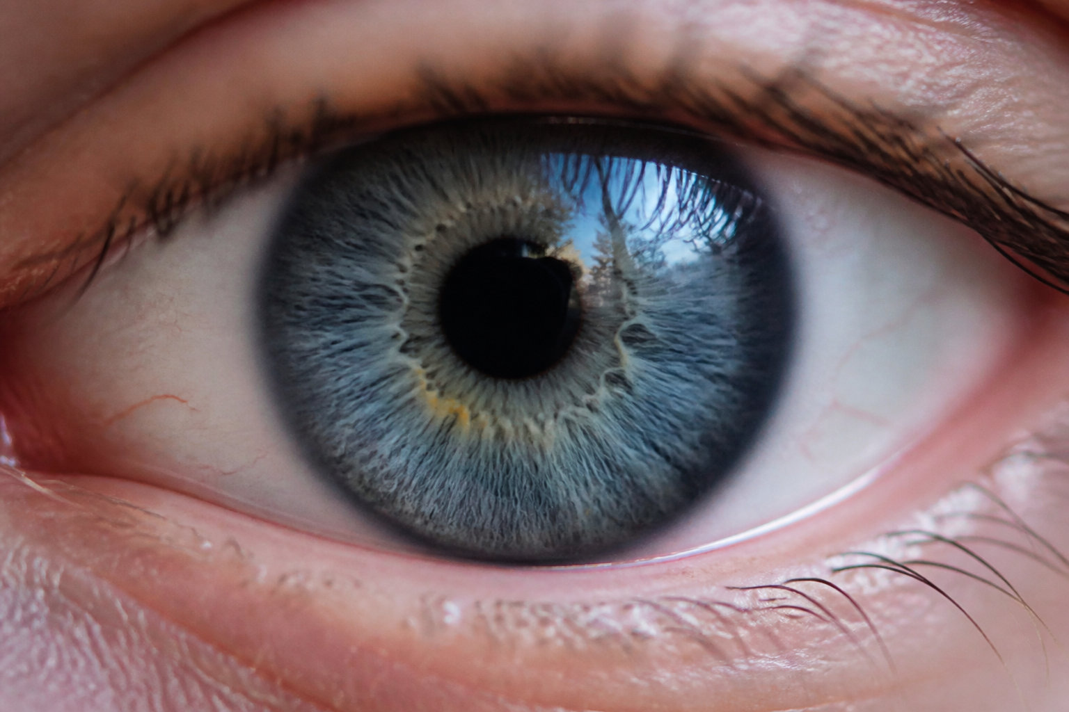 Le mécanisme optique qui brouille ta vision de loin